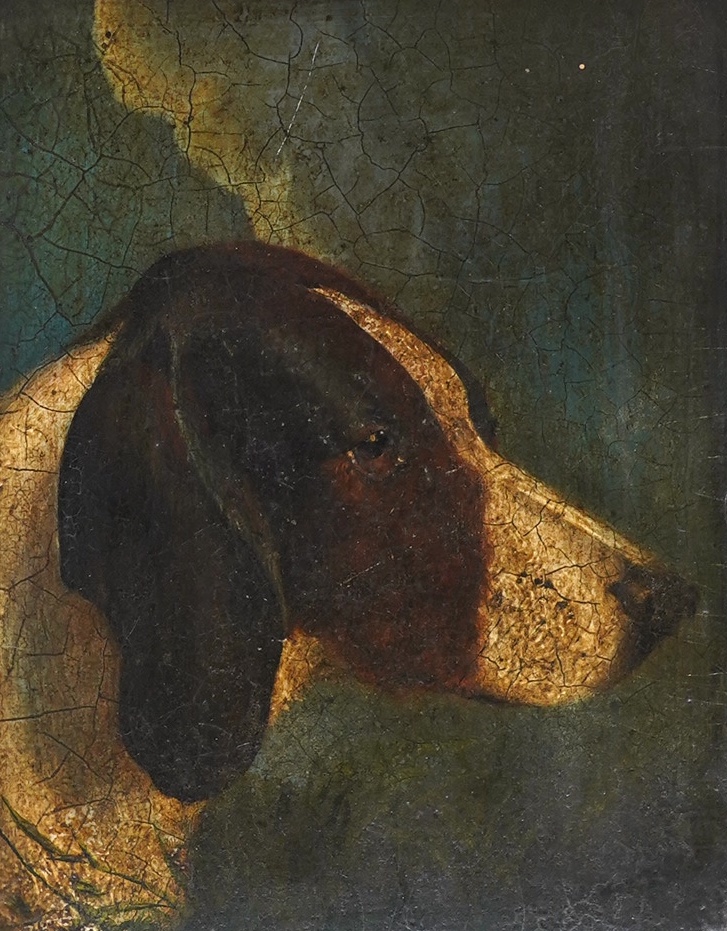 19th century, naive English School, oil on board, Study of a dog, possibly an English Pointer, 22 x 17cm. Condition - poor